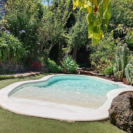 Los Matos, Canarian House In Valleseco Екстер'єр фото