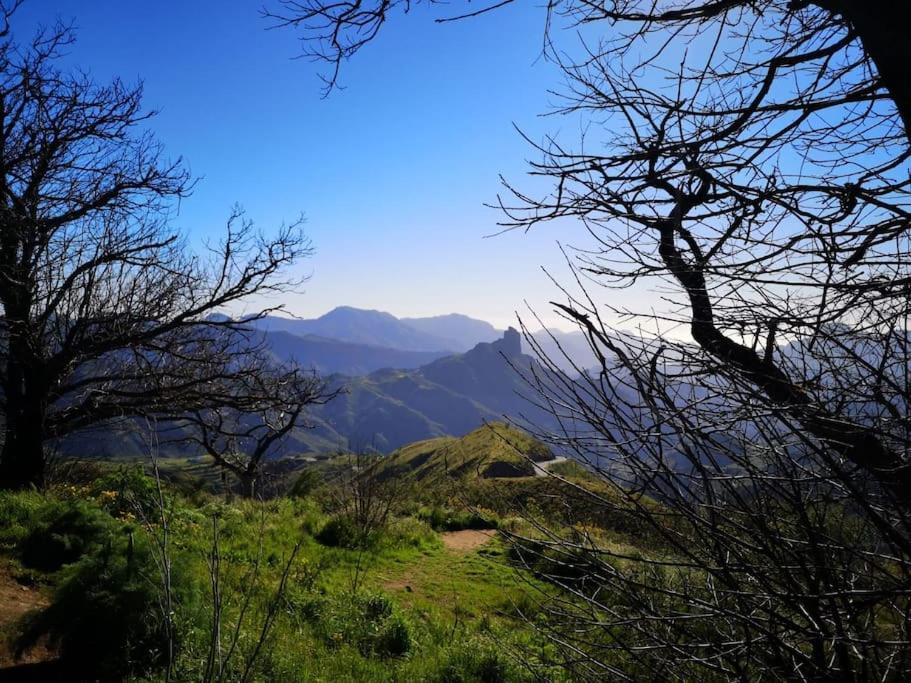 Los Matos, Canarian House In Valleseco Екстер'єр фото