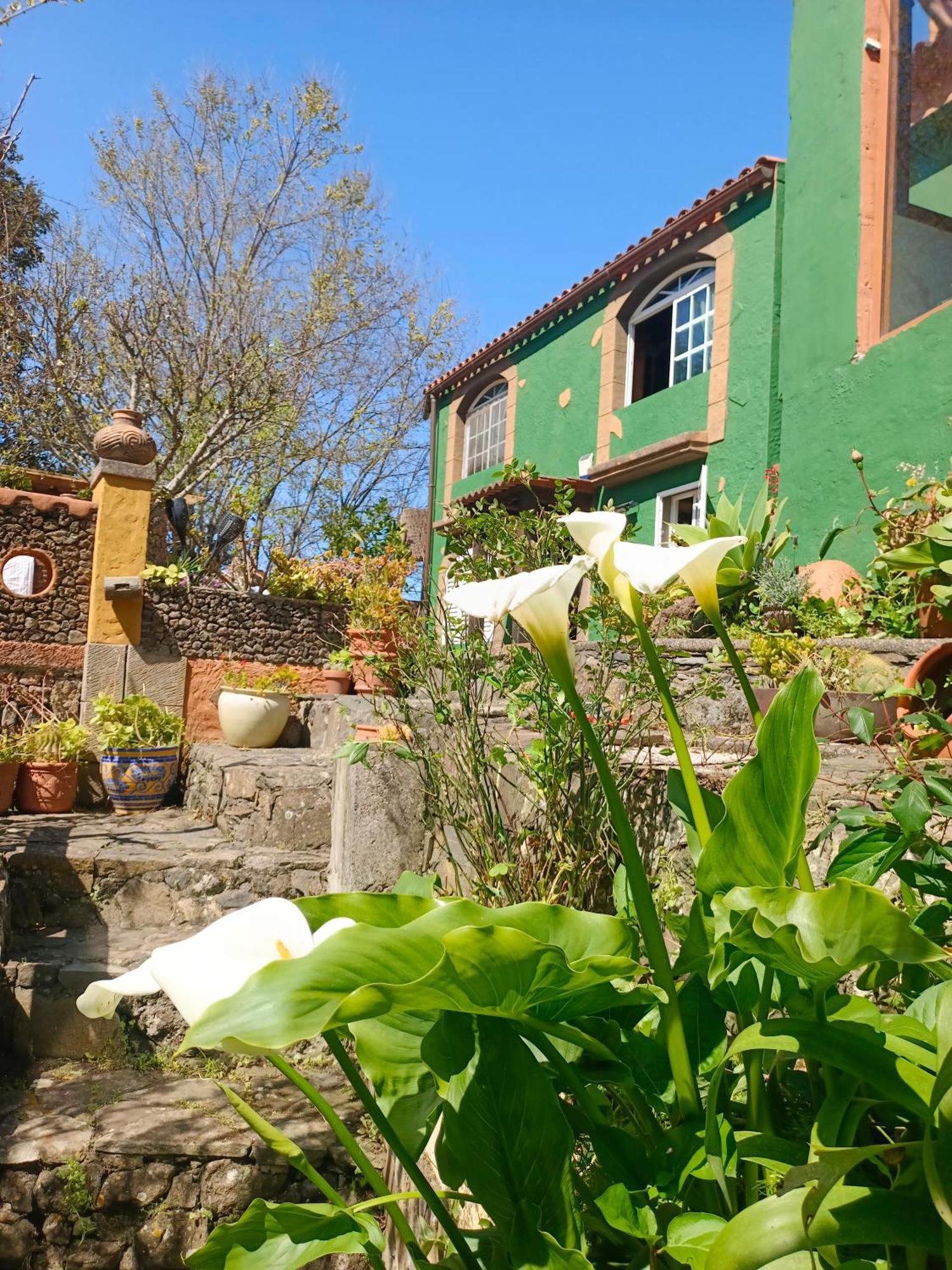 Los Matos, Canarian House In Valleseco Екстер'єр фото